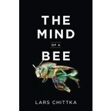 The Mind of a Bee
