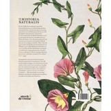 De Historia Naturalis. Geschiedenis van de kruidengeneeskunde