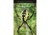 Spiders of North America