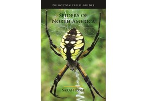 Spiders of North America