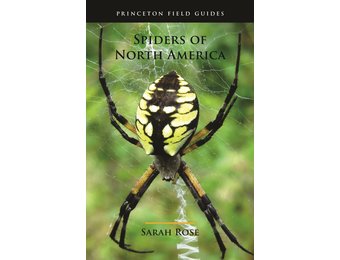 Spiders of North America