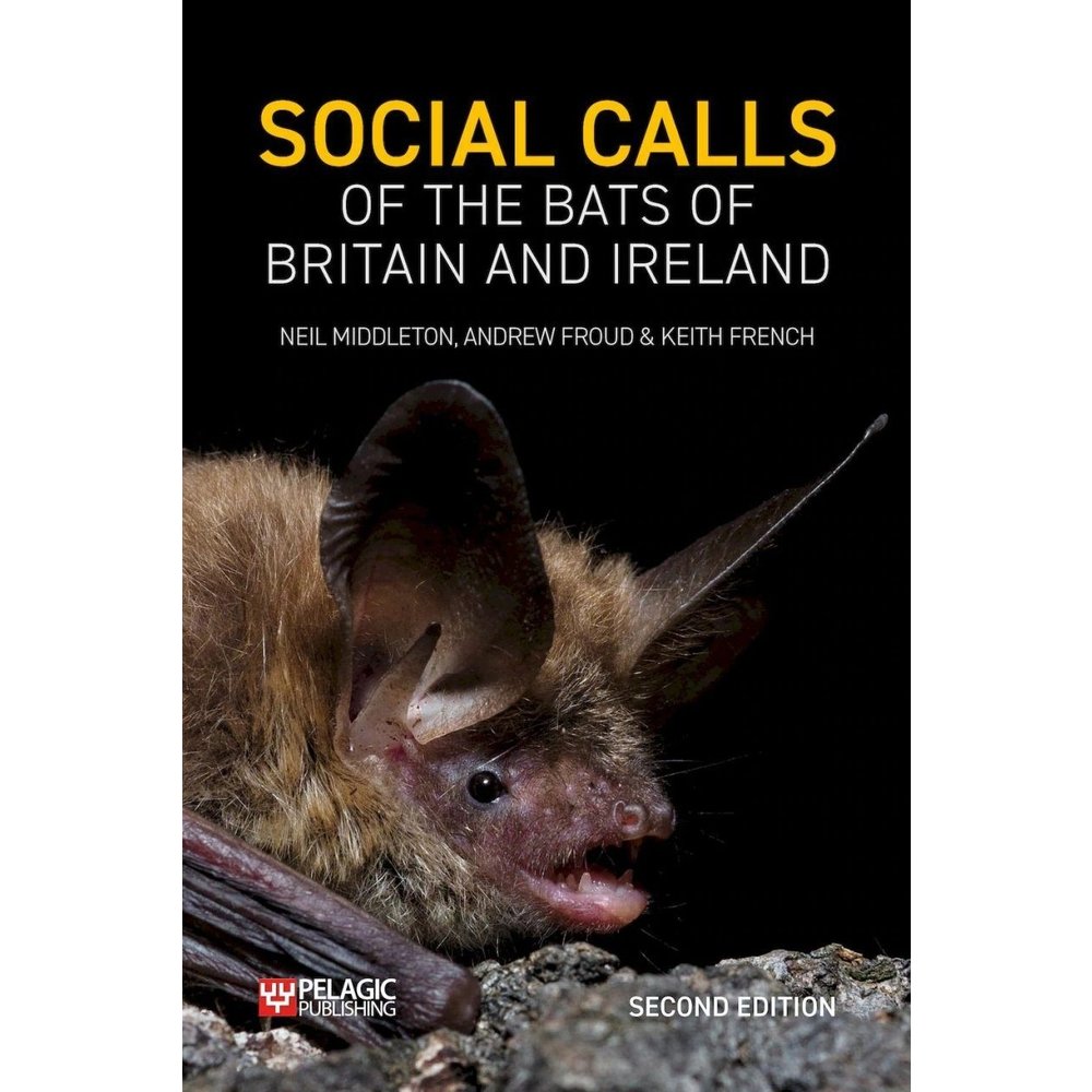 and　Bats　the　Britain　Social　Calls　of　of　Ireland