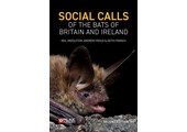 Social Calls of the Bats of Britain and Ireland