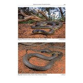 Australasian Elapids - Husbandry, Captive Care and Ecology