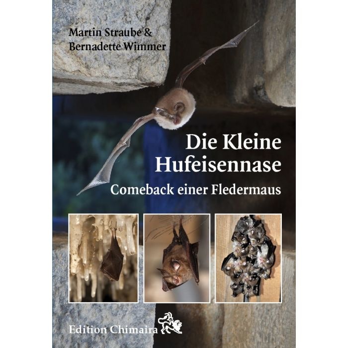 Die Kleine Hufeisennase - Comeback einer Fledermaus