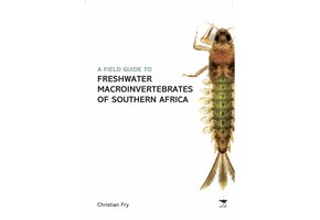 A Field Guide to Freshwater Macroinvertebrates of Southern Africa