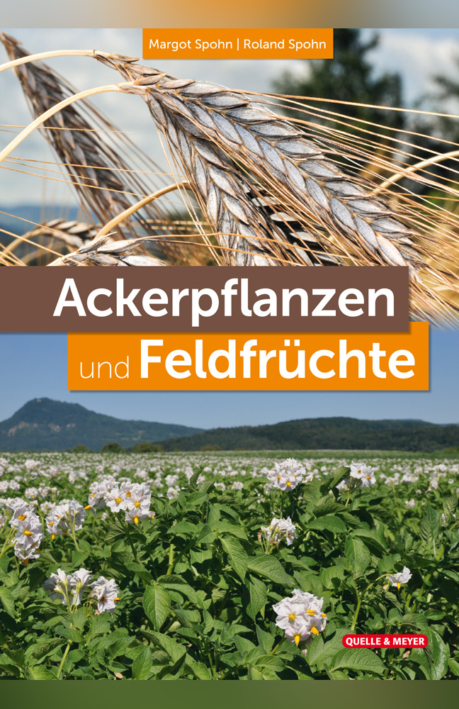 Ackerpflanzen und Feldfrüchte