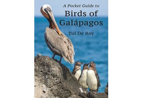 A Pocket Guide to Birds of Galápagos