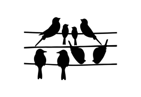Window stickers birds on wire