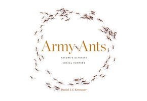 Army Ants
