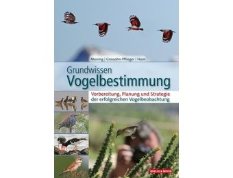 Grundwissen Vogelbestimmung
