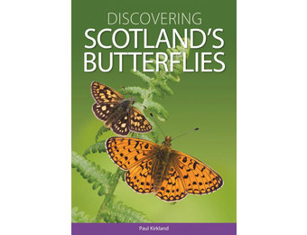 Discovering Scotland's Butterflies