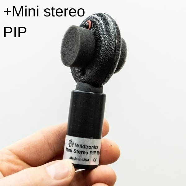 Wildtronics Pro Mini Parabolic Microphone Kit