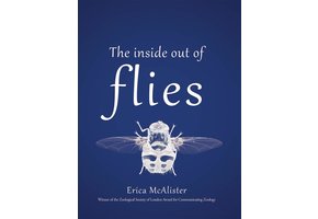 The Inside Out of Flies