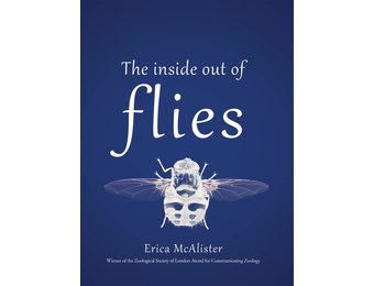 The Inside Out of Flies