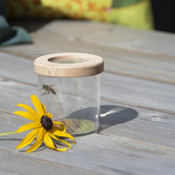 Loeppot voor insecten met houten deksel
