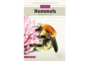 Veldgids Hommels