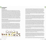 Veldgids Hommels van Nederland en België