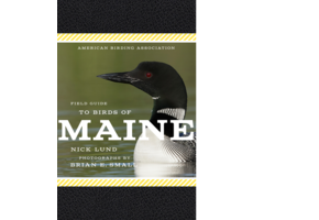 Field Guide to Birds of Maine