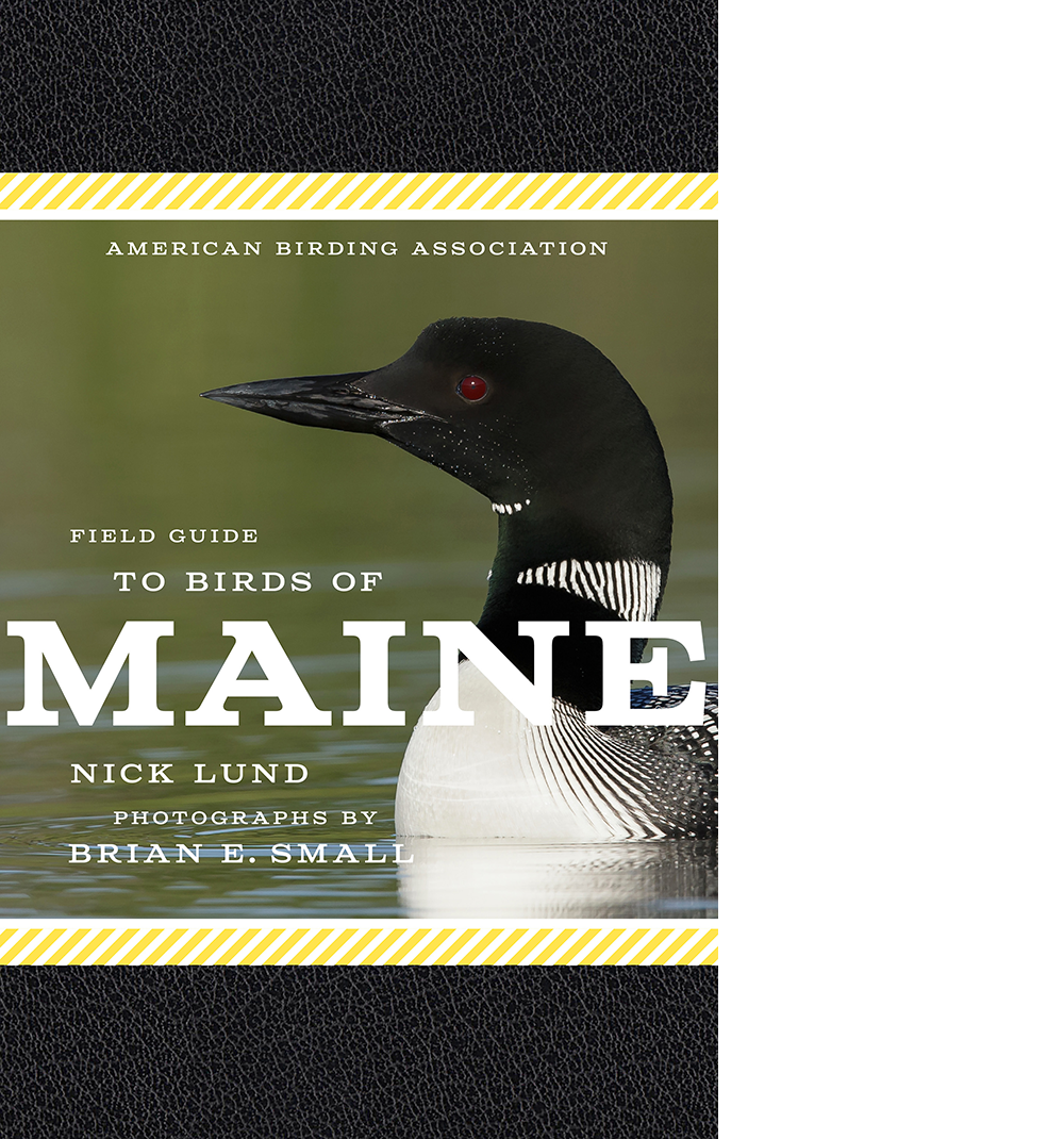 Field Guide to Birds of Maine