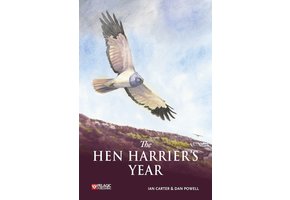 The Hen Harrier's Year