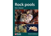Rock pools