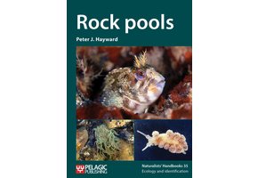 Rock pools