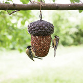 Acorn bird feeder