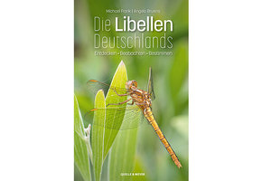 Die Libellen Deutschlands