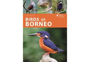 Birds of Borneo