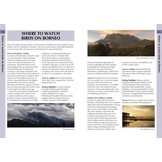 Birds of Borneo - A Photographic Guide