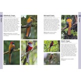 Birds of Borneo - A Photographic Guide