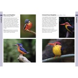 Birds of Borneo - A Photographic Guide