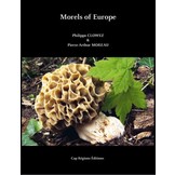 Morels of Europe