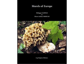 Morels of Europe