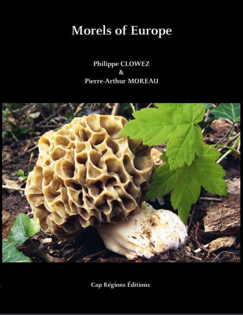 Morels of Europe