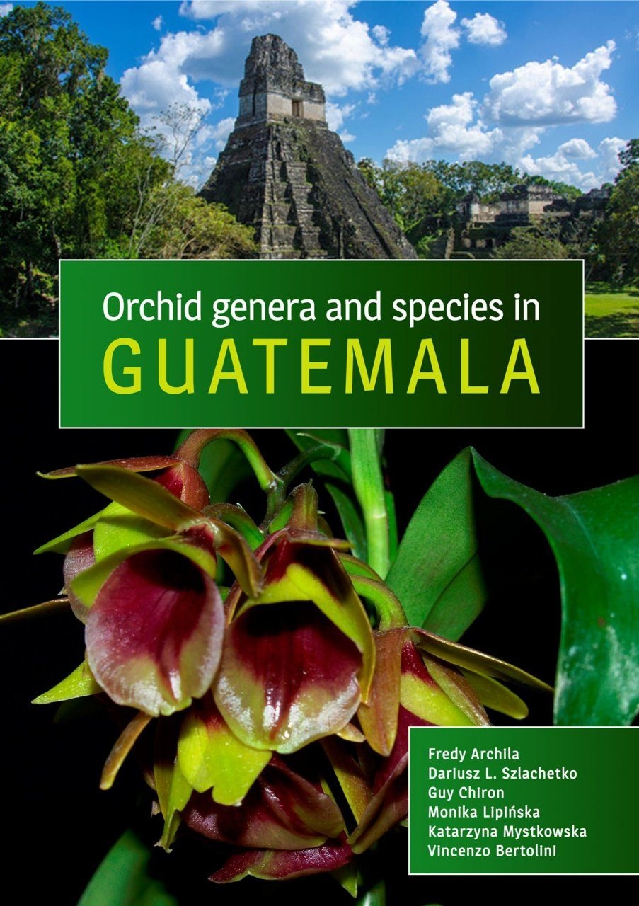 Orchid Genera and Species in Guatemala