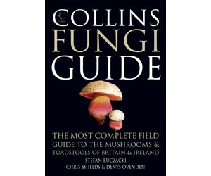洋書　きのこ図鑑　コリンズ菌類ガイド　COLLINS FUNGI GUIDE 洋書 きのこ図鑑 コリンズ菌類ガイド COLLINS FUNGI GUIDE