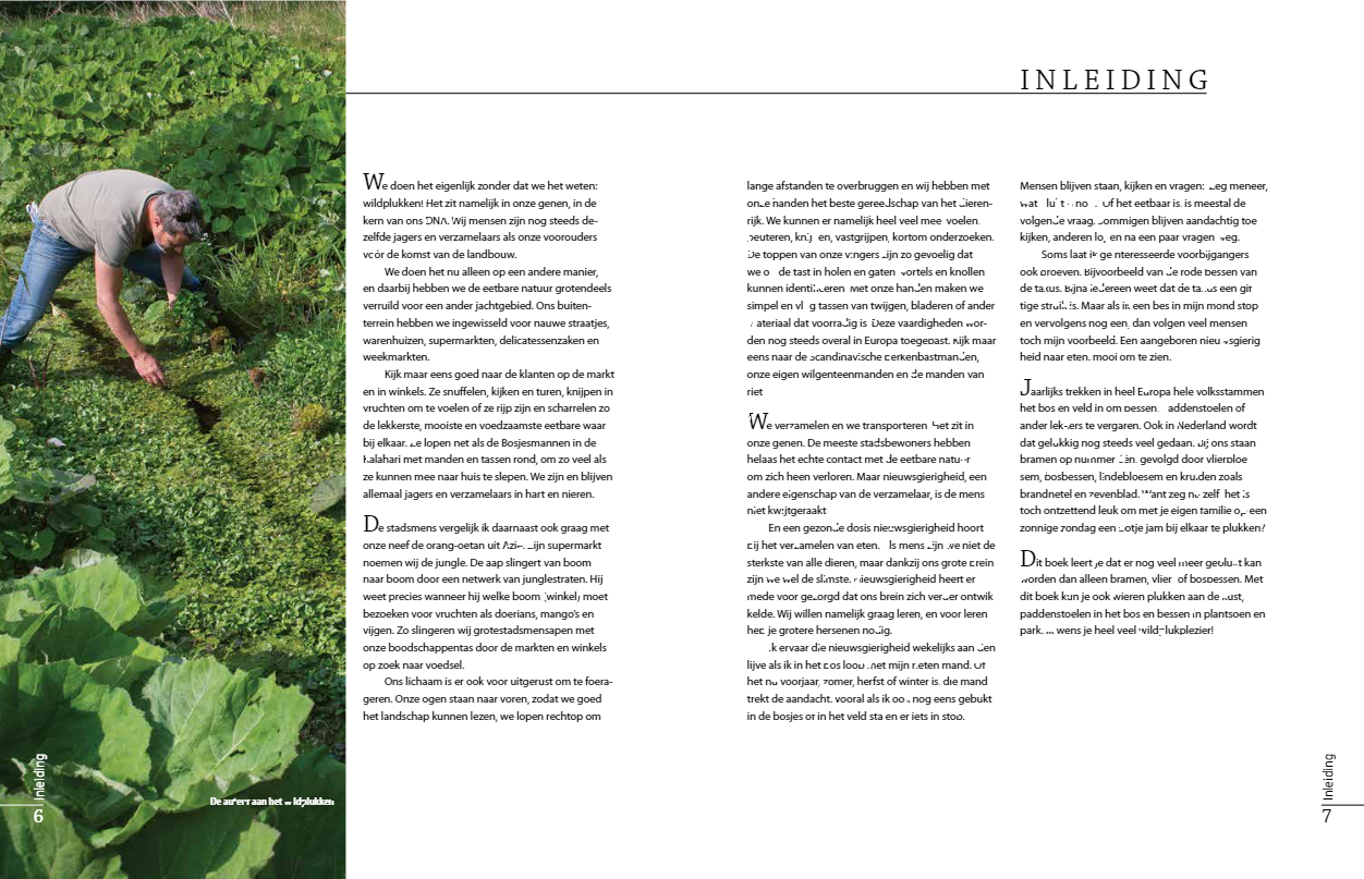 Het grote wildplukboek