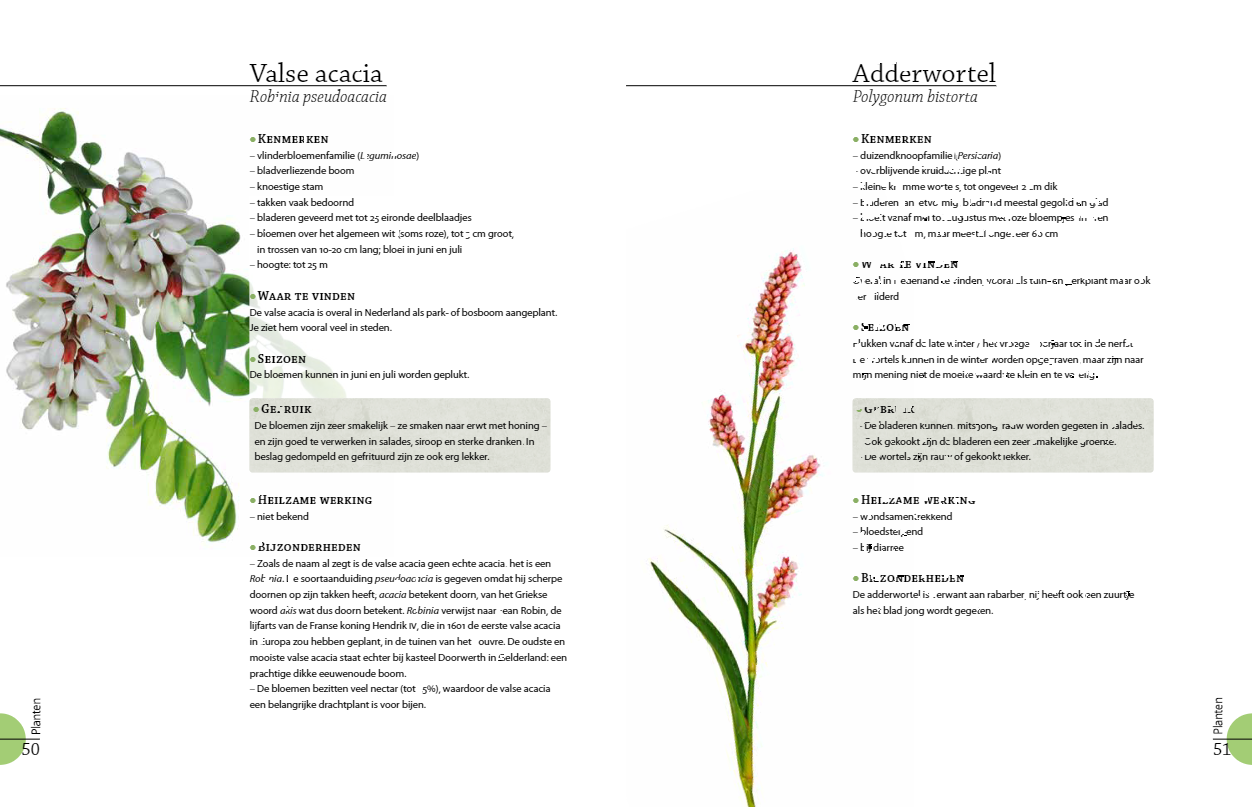 Het grote wildplukboek