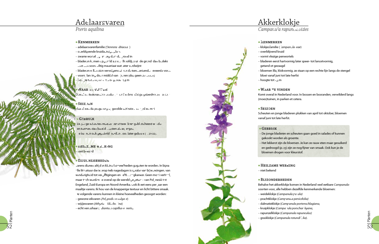 Het grote wildplukboek