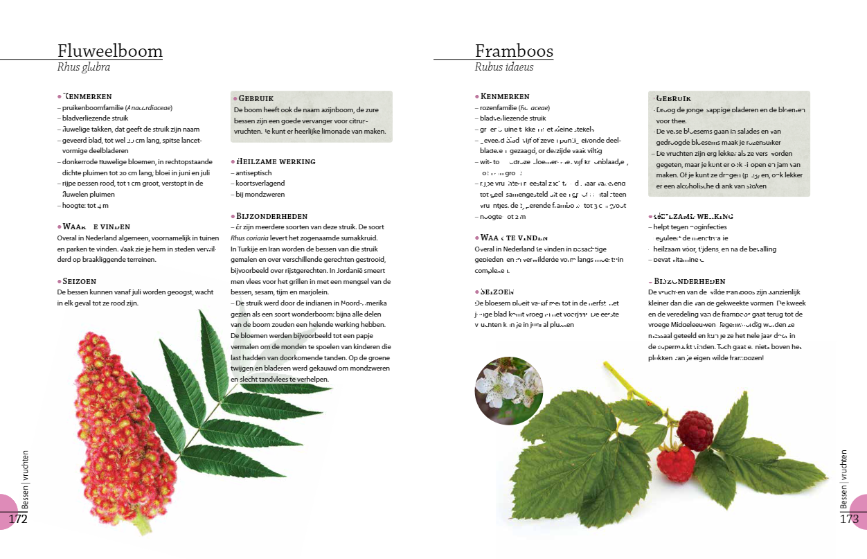 Het grote wildplukboek