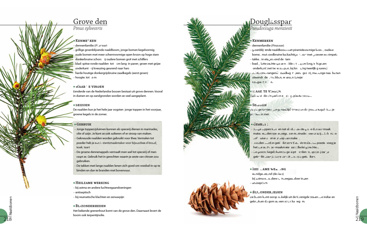 Het grote wildplukboek