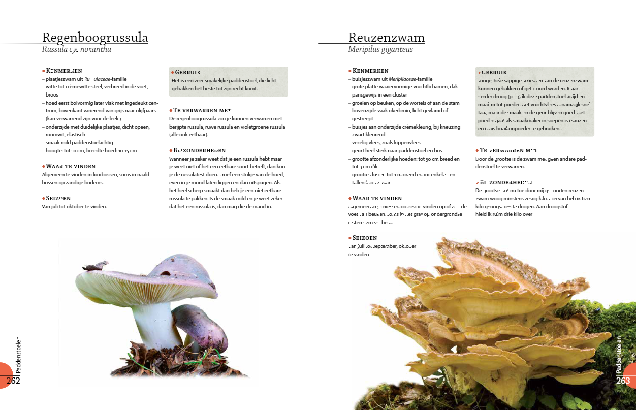 Het grote wildplukboek