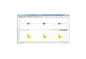 Pettersson BatSound Software 4.4