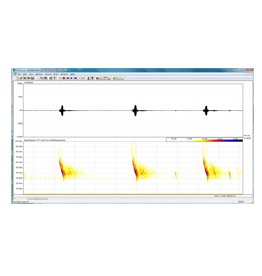 BatSound Software 4.4