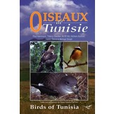 Birds of Tunisia / Oiseaux de Tunisie