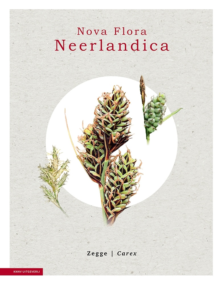 Nova Flora Neerlandica - Deel 2 - Zegge | Carex