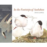In the Footsteps of Audubon