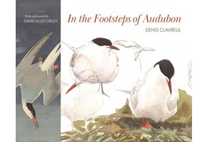 In the Footsteps of Audubon